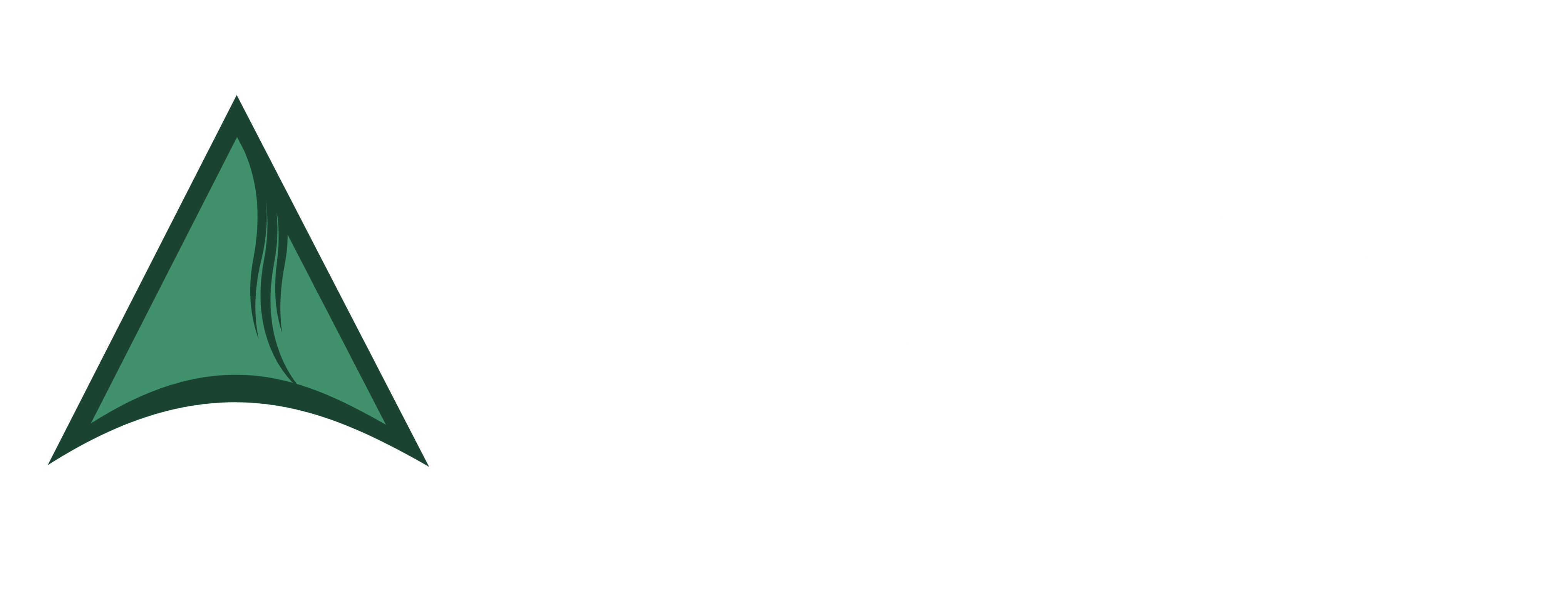 Auralis Aerospace